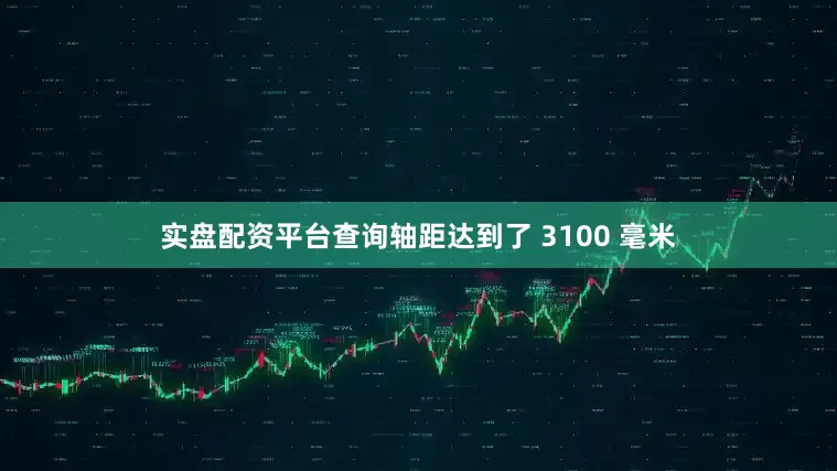实盘配资平台查询轴距达到了 3100 毫米