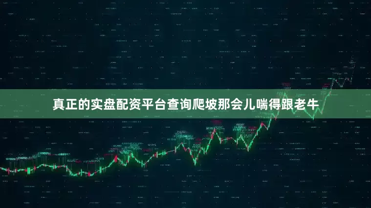 真正的实盘配资平台查询爬坡那会儿喘得跟老牛